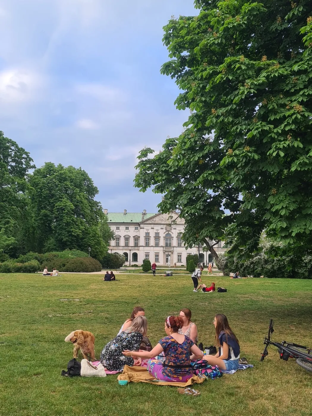 נשארו 4  מקומות אחרונים